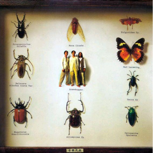 萝莉张开腿让我爽了一夜
